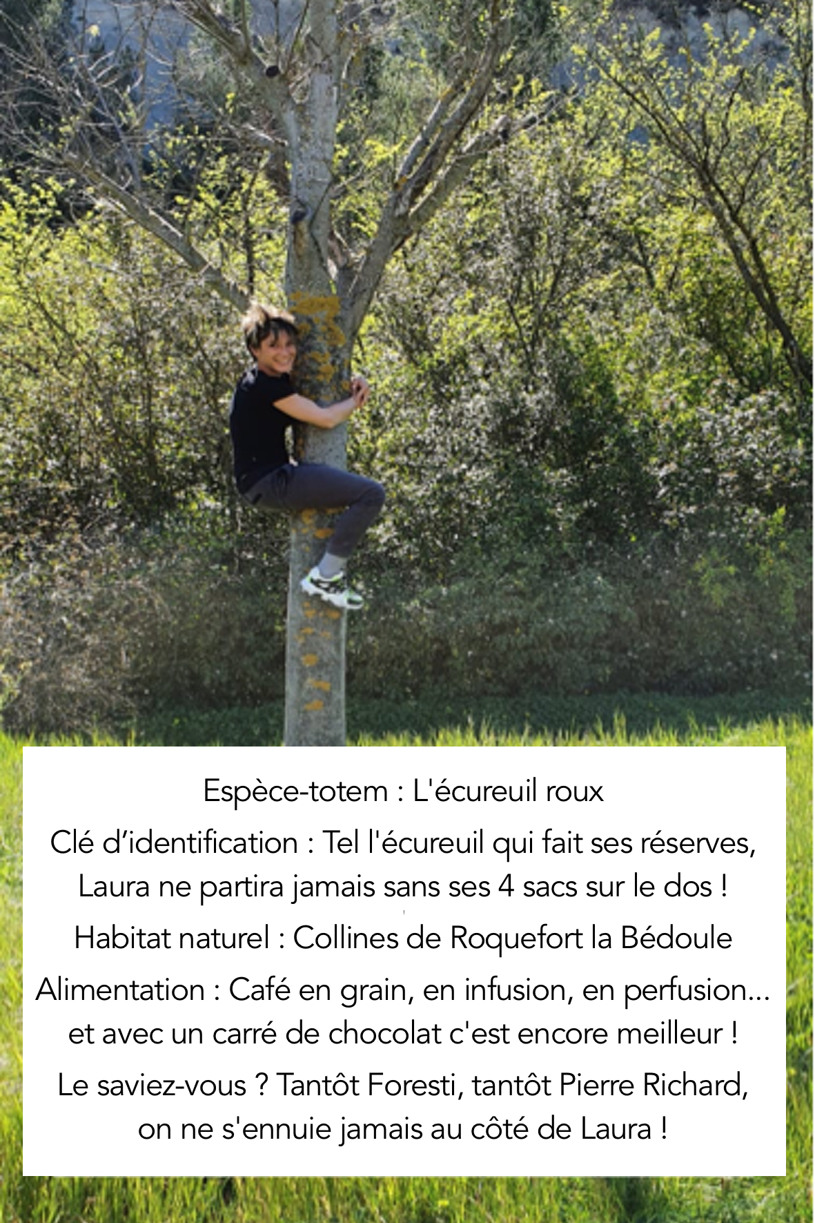 Laura, l'écureuil roux du Pôle Nature du Naturoscope - Naturoscope